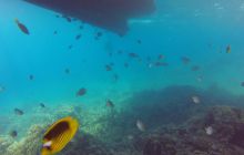 Safaga listopad 2013