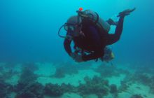 Safaga listopad 2013