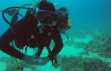 Safaga listopad 2013