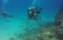 Safaga listopad 2013