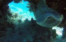 Safaga listopad 2013