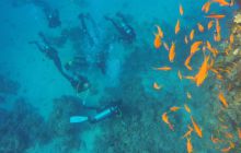 Safaga listopad 2013