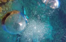 Safaga listopad 2013