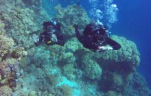 Safaga listopad 2013