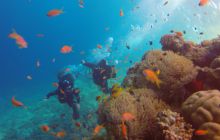 Safaga listopad 2013