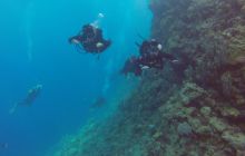 Safaga listopad 2013