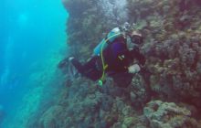 Safaga listopad 2013