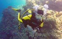 Safaga listopad 2013