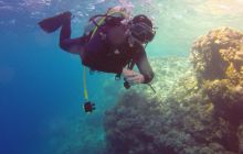 Safaga listopad 2013