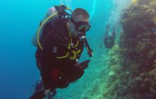 Safaga listopad 2013