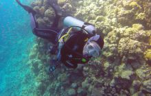 Safaga listopad 2013