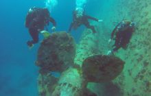 Safaga listopad 2013