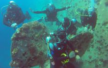 Safaga listopad 2013