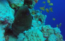 Safaga listopad 2013