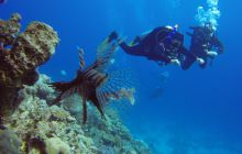 Safaga listopad 2013