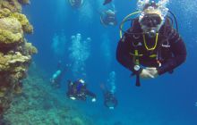 Safaga listopad 2013