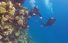 Safaga listopad 2013