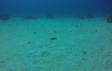 Safaga listopad 2013