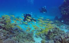 Safaga listopad 2013