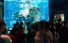 Zdjęcia z wyjazdu do Australii 2013