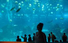 Zdjęcia z wyjazdu do Australii 2013