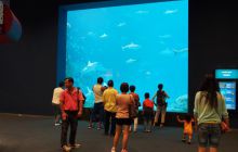 Zdjęcia z wyjazdu do Australii 2013