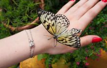 Zdjęcia z wyjazdu do Australii 2013