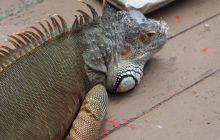 Zdjęcia z wyjazdu do Australii 2013