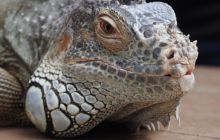 Zdjęcia z wyjazdu do Australii 2013