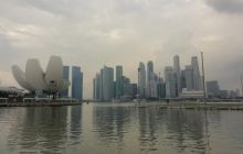 Zdjęcia z wyjazdu do Australii 2013