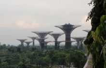 Zdjęcia z wyjazdu do Australii 2013