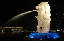 Zdjęcia z wyjazdu do Australii 2013