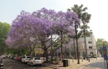 Zdjęcia z wyjazdu do Australii 2013