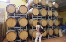 Zdjęcia z wyjazdu do Australii 2013