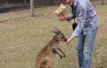 Zdjęcia z wyjazdu do Australii 2013