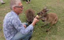 Zdjęcia z wyjazdu do Australii 2013