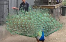 Zdjęcia z wyjazdu do Australii 2013