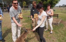 Zdjęcia z wyjazdu do Australii 2013