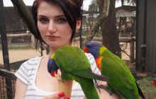 Zdjęcia z wyjazdu do Australii 2013