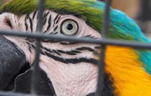 Zdjęcia z wyjazdu do Australii 2013