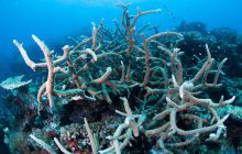 Zdjęcia z wyjazdu do Australii 2013