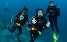 Zdjęcia z wyjazdu do Australii 2013