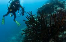 Zdjęcia z wyjazdu do Australii 2013