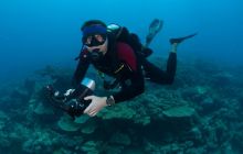 Zdjęcia z wyjazdu do Australii 2013