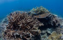 Zdjęcia z wyjazdu do Australii 2013