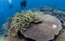 Zdjęcia z wyjazdu do Australii 2013