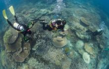 Zdjęcia z wyjazdu do Australii 2013