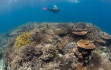 Zdjęcia z wyjazdu do Australii 2013