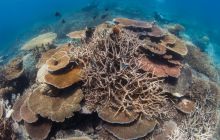 Zdjęcia z wyjazdu do Australii 2013