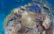 Zdjęcia z wyjazdu do Australii 2013